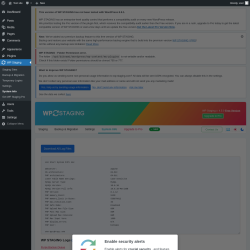 Page screenshot: WP Staging  &rarr; System Info