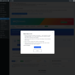Page screenshot: WP Staging 