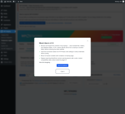 Page screenshot: WP Staging  &rarr; Temporary Logins