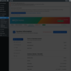 Page screenshot: WP Staging  &rarr; System Info