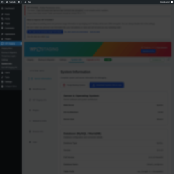 Page screenshot: WP Staging  &rarr; System Info