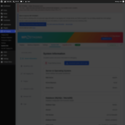 Page screenshot: WP Staging  &rarr; System Info
