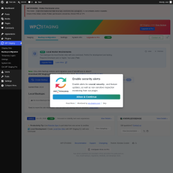 Page screenshot: WP Staging  &rarr; Backup & Migration