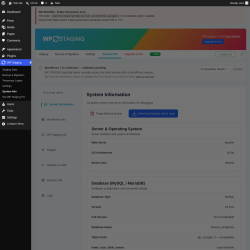 Page screenshot: WP Staging  &rarr; System Info