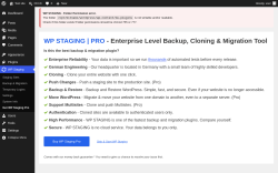 Page screenshot: WP Staging - Welcome &lsaquo; Test site &mdash; WordPress