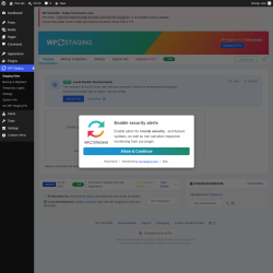 Page screenshot: WP Staging 
