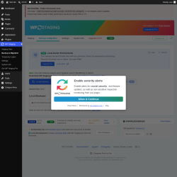 Page screenshot: WP Staging  &rarr; Backup & Migration