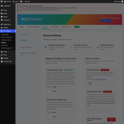 Page screenshot: WP Staging  &rarr; Settings