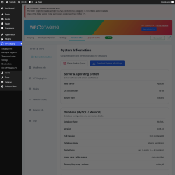 Page screenshot: WP Staging  &rarr; System Info