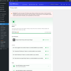 Page screenshot: Statistics → Privacy Audit