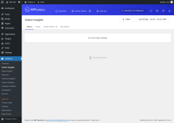 Page screenshot: Statistics → Visitor Insights