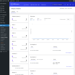 Page screenshot: Statistics → Category Analytics
