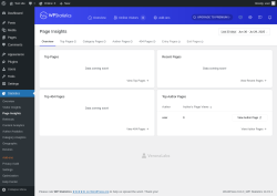 Page screenshot: Statistics → Page Insights