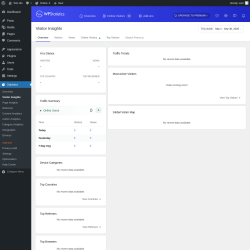 Page screenshot: Statistics → Visitor Insights