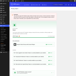 Page screenshot: Statistics &rarr; Privacy Audit