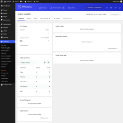Page screenshot: Statistics &rarr; Visitor Insights
