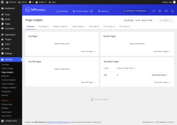Page screenshot: Statistics &rarr; Page Insights