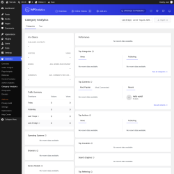 Page screenshot: Statistics &rarr; Category Analytics