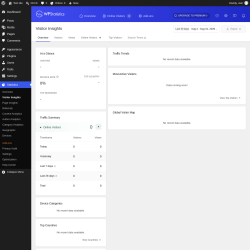 Page screenshot: Statistics &rarr; Visitor Insights