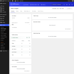 Page screenshot: Statistics &rarr; Visitor Insights