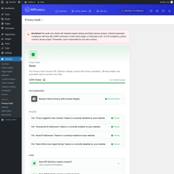 Page screenshot: Statistics &rarr; Privacy Audit