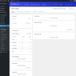 Page screenshot: Statistics &rarr; Visitor Insights