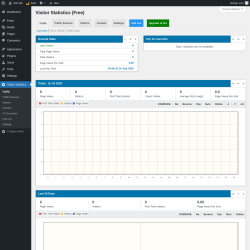 Page screenshot: Visitor Statistics