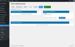 Page screenshot: Visitor Statistics → Content