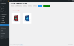 Page screenshot: Visitor Statistics → Add ons