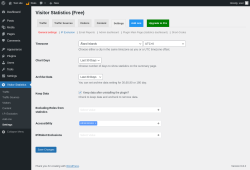 Page screenshot: Visitor Statistics → Settings