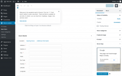 Page screenshot: Store Locator &rarr; New Store