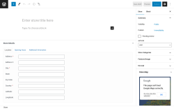 Page screenshot: Store Locator &rarr; New Store