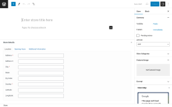 Page screenshot: Store Locator &rarr; New Store