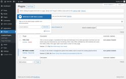 Page screenshot: Plugins ‹ Test site — WordPress