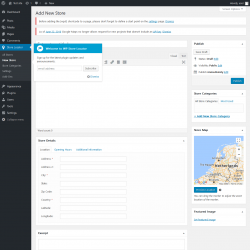 Page screenshot: Store Locator &rarr; New Store