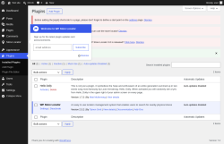 Page screenshot: Plugins &lsaquo; Test site &mdash; WordPress