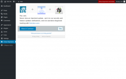 Page screenshot: China Payments ‹ Test site — WordPress