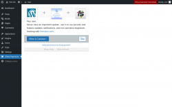 Page screenshot: China Payments ‹ Test site — WordPress