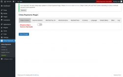 Page screenshot: China Payments