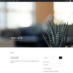 Page screenshot: Test site &ndash; Just another WordPress site