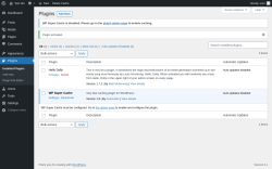 Page screenshot: Plugins &lsaquo; Test site &mdash; WordPress