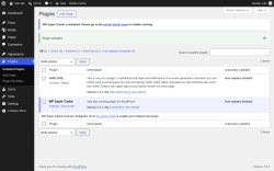 Page screenshot: Plugins &lsaquo; Test site &mdash; WordPress