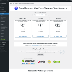 Page screenshot: Team → Upgrade  ➤