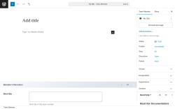 Page screenshot: Team → Add New Team Member 