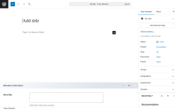 Page screenshot: Team → Add New Team Member 