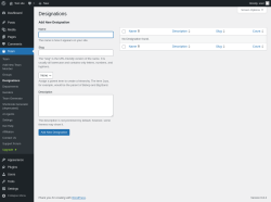 Page screenshot: Team → Designations