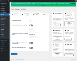 Page screenshot: Team → Settings