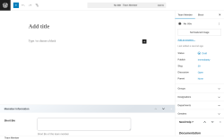 Page screenshot: Team → Add New Team Member 