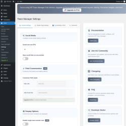 Page screenshot: Team → Settings