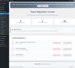 Page screenshot: Team → Migration